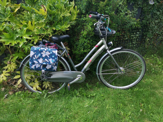 gazelle bike accessories